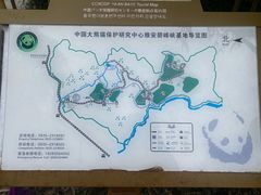 -中国大熊猫保护研究中心雅安碧峰峡基地