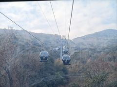 -普陀山慧济禅寺