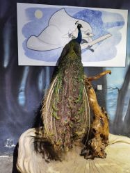 -酷嗒动物文化乐园(cutezoo西溪乐天城店)