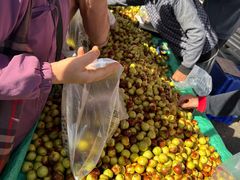 -三旗百汇商品城