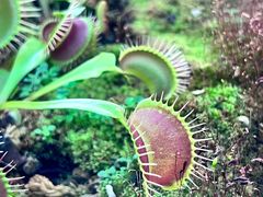 -国家植物园南园