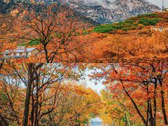 -沂蒙山旅游区龟蒙景区