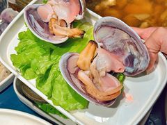 -邹开喜·小海鲜醉鸡煲·潮汕鲜切牛肉店(襄阳北路店)