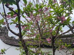 -乌山风景区