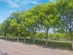 -南开大学(津南校区)