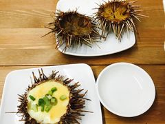 -海胆小馆(东北水饺·春柳店)