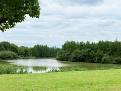 -艾溪湖湿地公园