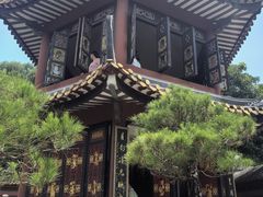 -碧江金楼