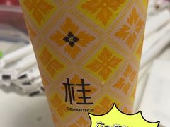 -交通银行前滩31演艺中心