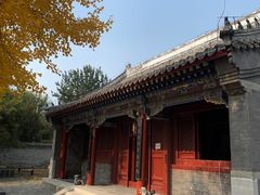 -护国天仙圣母庙