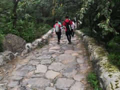 -阳台山自然风景区