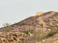 -草原天路(张北县)
