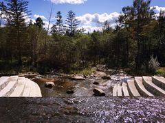 -五营红松林海景区