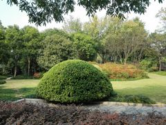 -杭州城北体育公园