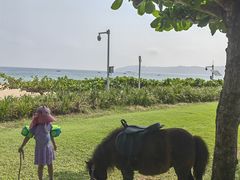 -三亚亚龙湾天域度假酒店