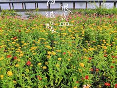 -海珠湖公园