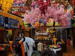 -吉祥圣雪藏餐