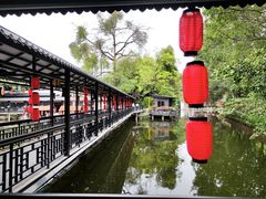 -侨美·唐荔园·40年地道粤菜