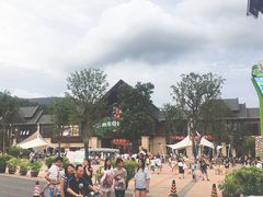 -苏州乐园森林水世界