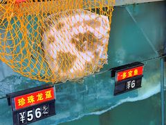 -大湾区鑫南酒家·粤菜(黄岐店)