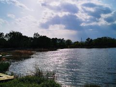 -永定河休闲森林公园