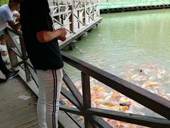 -台儿庄古城