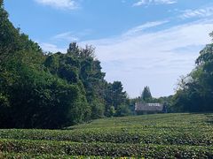 -敬亭山风景名胜区