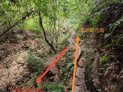 -南山植物园