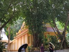 -西双版纳勐泐文化旅游区