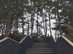 -柱状节理带