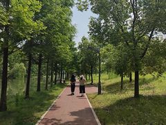 -洋湖国家湿地公园