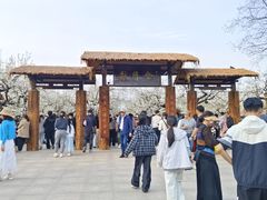 -江苏三台山国家森林公园