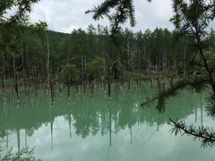-青池