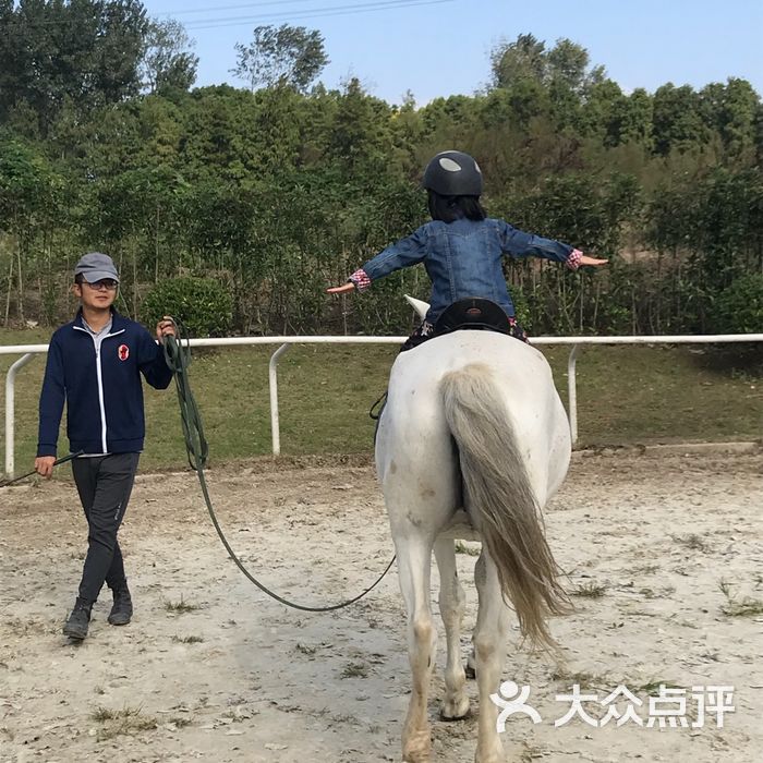 全进马术俱乐部图片-北京马术场-大众点评网