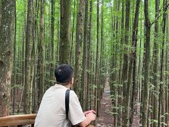 -山王坪喀斯特国家生态公园