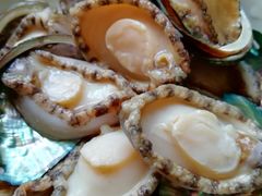 -江杨农产品批发市场