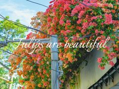 -天河客运站(地铁站)