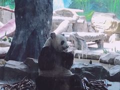 -灵玲国际马戏城