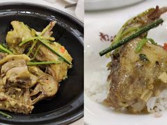 香草鸽-寻味顺德·南记酒家·传统顺德菜·鱼生(广源路店)