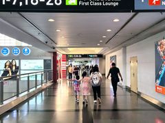-厦门高崎国际机场-T3航站楼