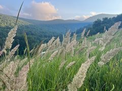-灵山