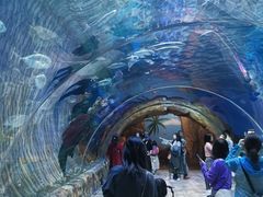 -华夏文旅海洋公园