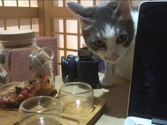 -小时光咖啡馆(开森度假森林店)