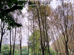 -荔香公园