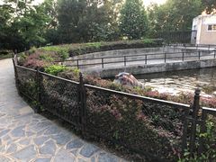 -合肥野生动物园