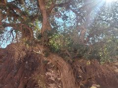 -新疆天山托木尔景区·大峡谷