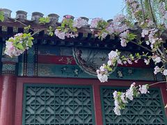 -海棠花溪(元大都城垣遗址公园)