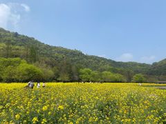 -八卦田遗址公园