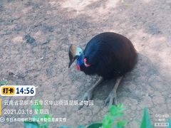 -昆明动物园