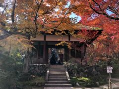 -常寂光寺